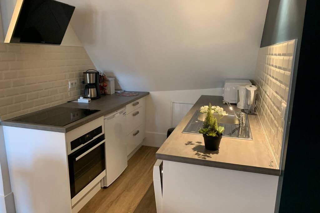 Le Cheval Bixio Apartman Beaune  Kültér fotó